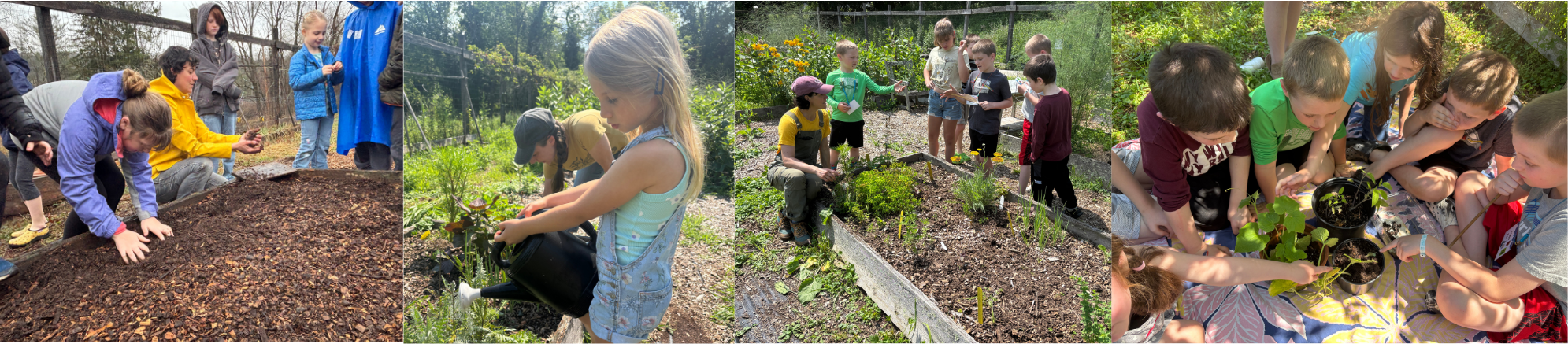 Children gardening at the Tusten Heritage Community Garden