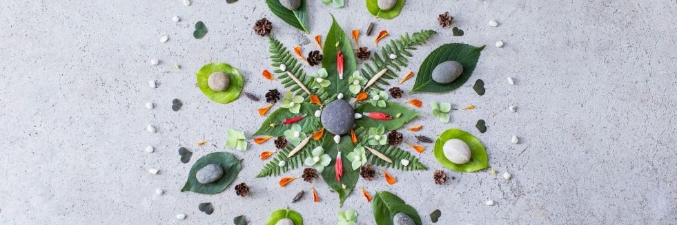leaves and rocks arranged in a artful circle