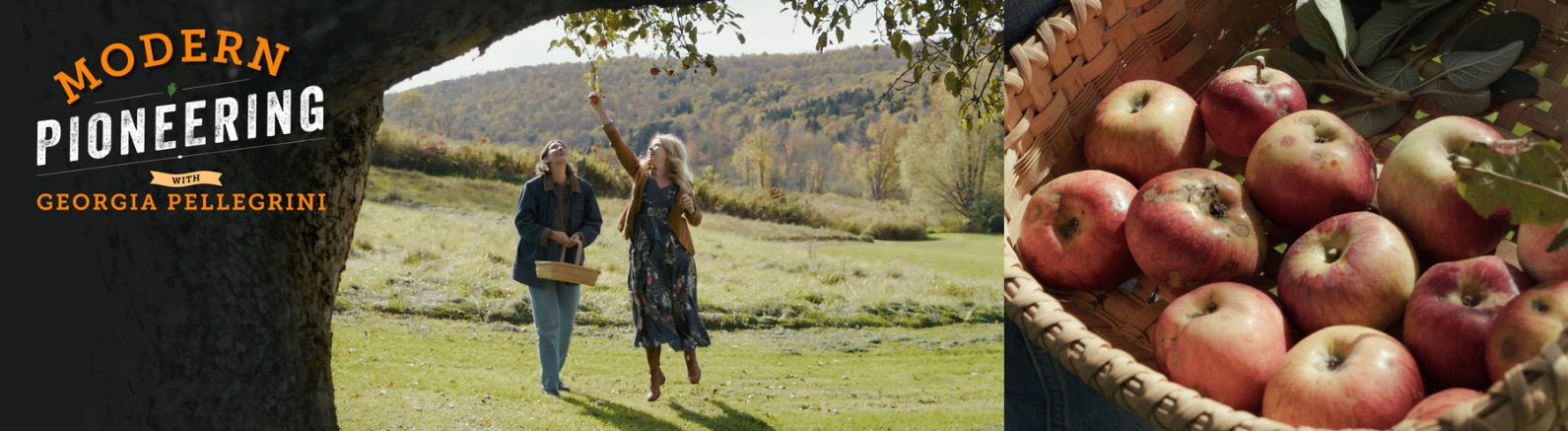 Two people picking apples from a tree and a basket of apples